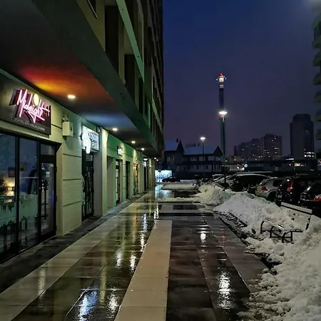 Simanic Apartment *